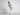 Ensemble Cargo beige